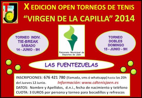 cartel virgen capilla 2014